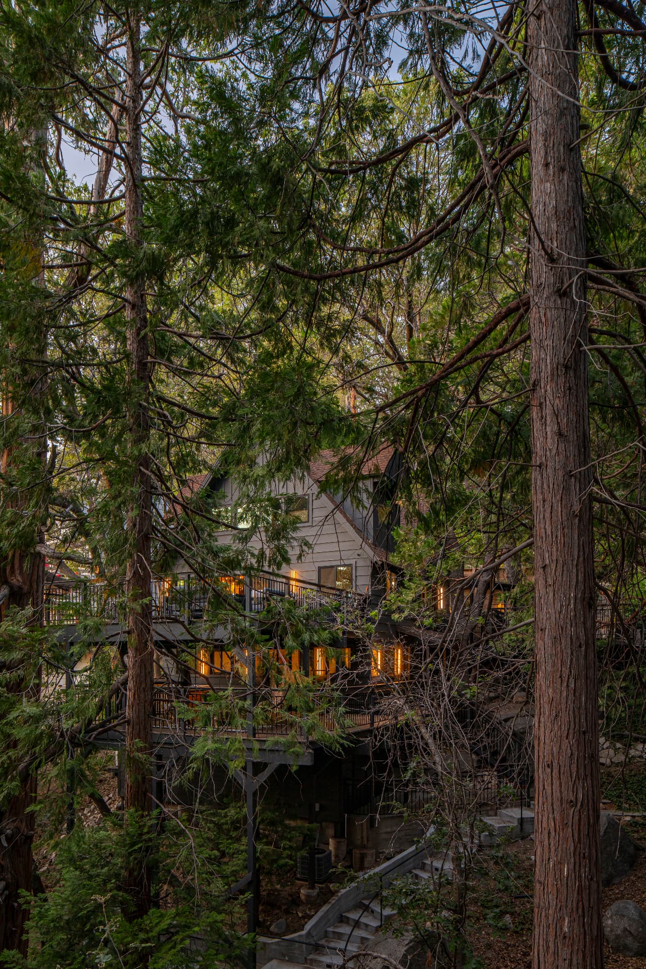 The home at dusk among towering trees, with a stone staircase below