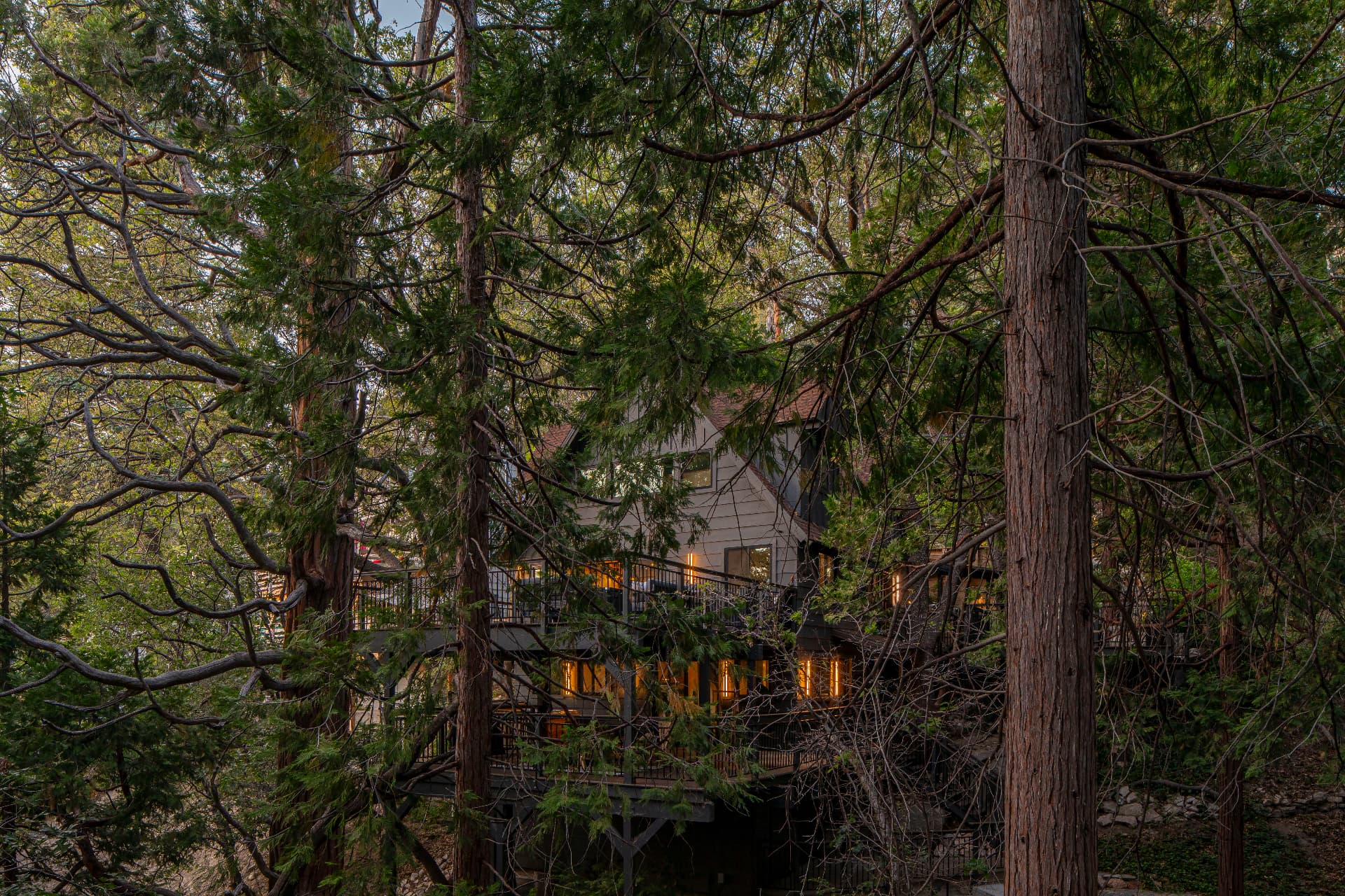 The home glowing at dusk through tall pines and cedars