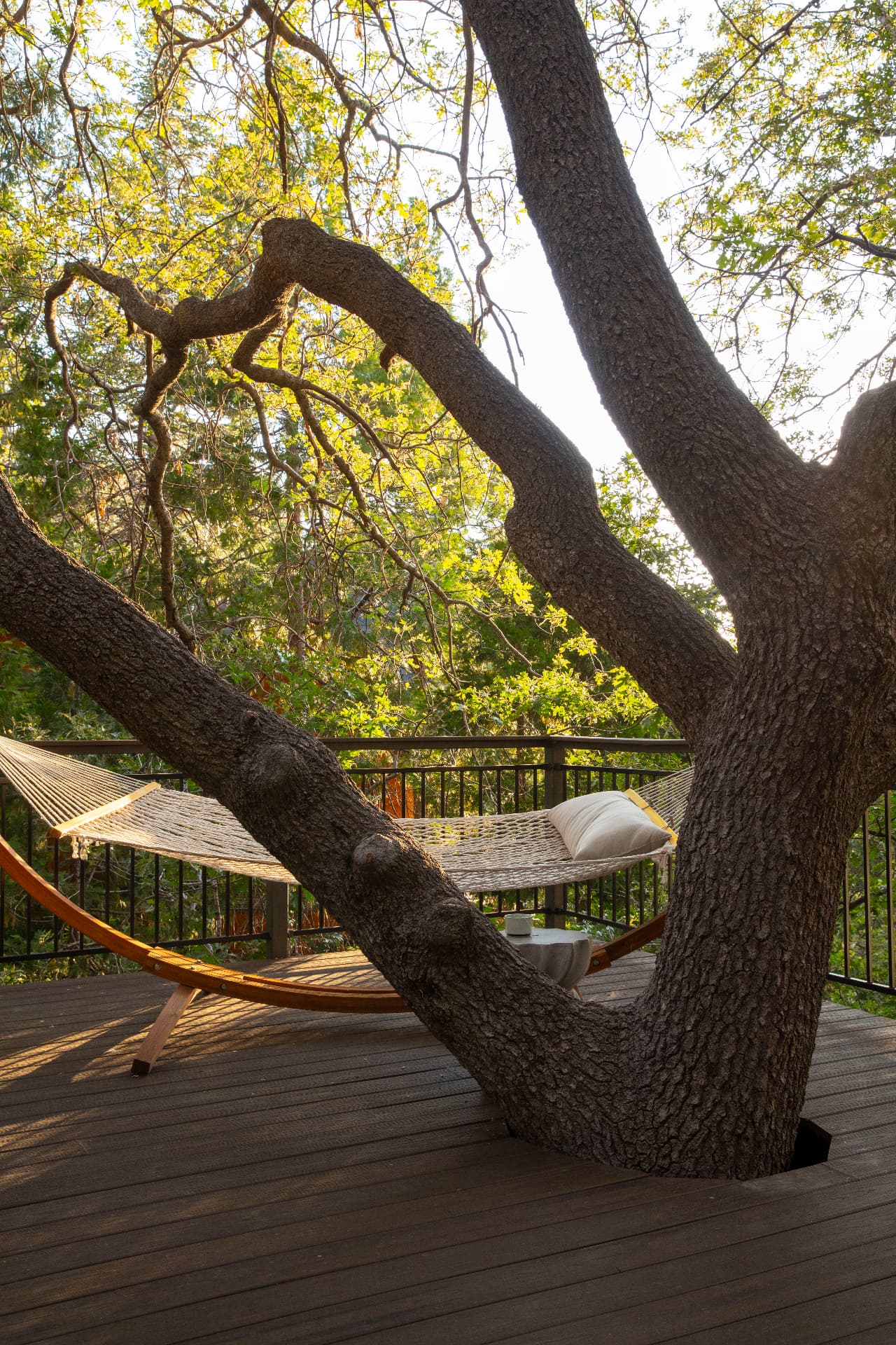 A hammock strung beside the oak growing through the deck